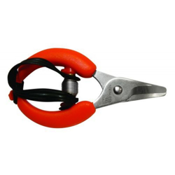 FORBICI COGLIAGRUMI cm 10 en oferta