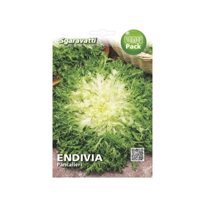 Busta Semi Orto Endivia Pancalieri - Sgaravatti