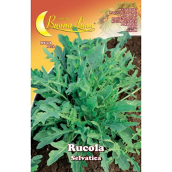 Hortus Sementi - SEMI ORTO RUCOLA SELVATICA características