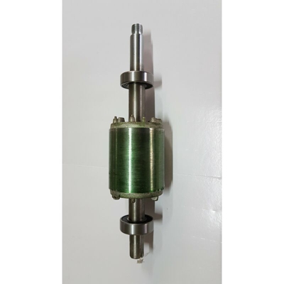 Set rotore completo di cuscinetto PP6000