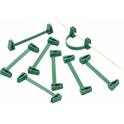 I Titolari Traliccio Piante