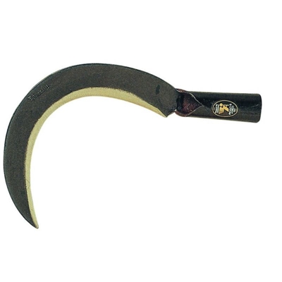 Angelo B. Roncola Scansano con Canna 26