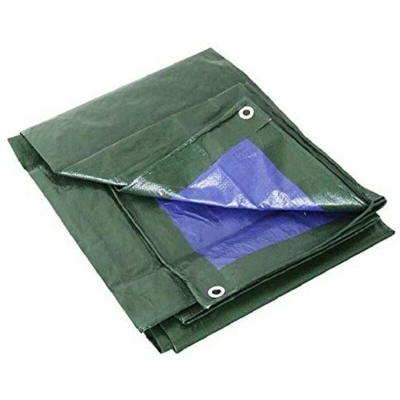 Telo occhiellato leggero 8x10mt 90g/mq