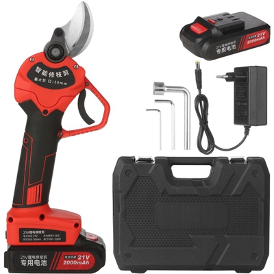 Kkmoon - Forbici elettriche da potatura 30mm, 21V, standard europeo, due batterie e un caricatore
