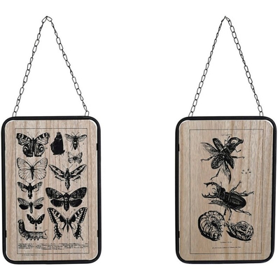 Quadro Insetti Nero Metallo Legno MDF (2 pcs) (20.5 x 1 x 32 cm) - Dkd Home Decor