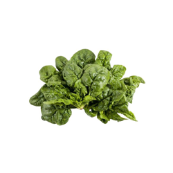 Hortusì - SPINACIO spinaci GIGANTE D'INVERNO GR 500 SEMENTI semi made in ITALY precio