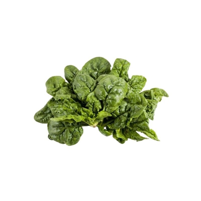 Hortusì - SPINACIO spinaci GIGANTE D'INVERNO GR 500 SEMENTI semi made in ITALY