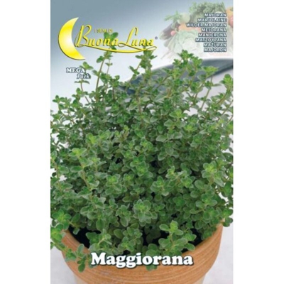 Hortus Sementi - SEMI ORTO MAGGIORANA