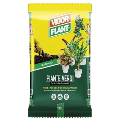 Terriccio Piante Verdi 10 litri - Vigorplant