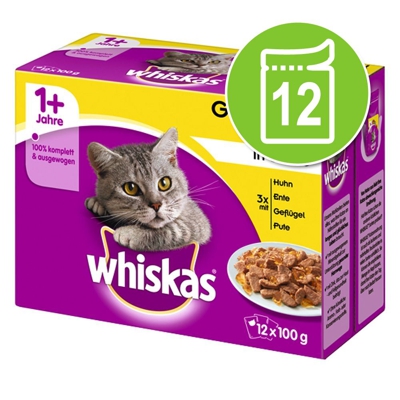 Whiskas 1+ buste 12 x 100 g - Selezione Pesce in Gelatina