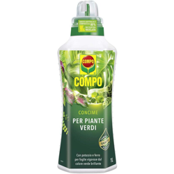 Concime Liquido P/Piante Verdi Lt.1 | Pz precio