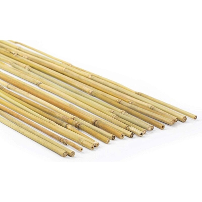 I.t.s.goup - PARISHOP - 25 Canne Bamboo cm x Ø mm 22-24 TUTORI per Piante,Agricoltura,orto,Decorazioni (150)