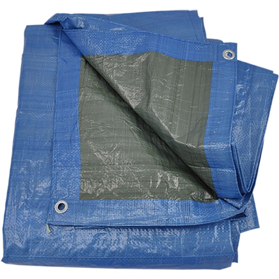 Telone Occhiellato Verde In Polietilene 80 Gr/Mq Mt. 3X4 Bordato E Rinforzato