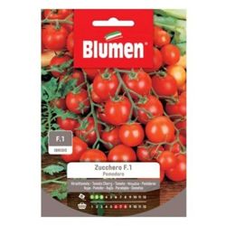 Blumen Pomodoro Zucchero F.1 características