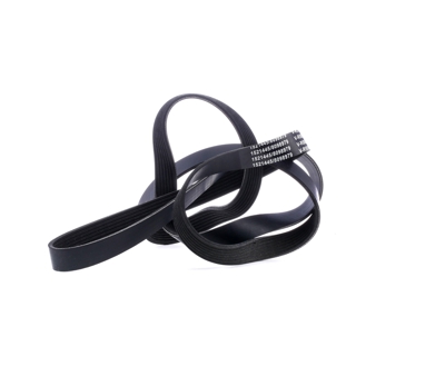 RIDEX Cinghia Poly-V 305P0229  JEEP,MERCEDES-BENZ,Grand Cherokee I (ZJ, ZG),E-Klasse Limousine (W211),M-Klasse (W163),S-Klasse Limousine (W220)
