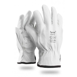 Guanti Driver 10 características