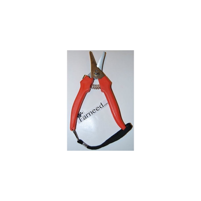 Forbice per vendemmia inox lama dritta cogliuva uva pota frutta forbici