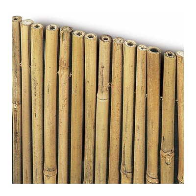 in bambu' river canne grosse 11-13 mm bamboo mt 1,5x3 150x300 tapp - Arella
