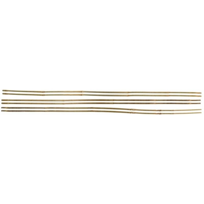 Tutori in bambú sfusi 180 / diametro 22 24 - Stocker