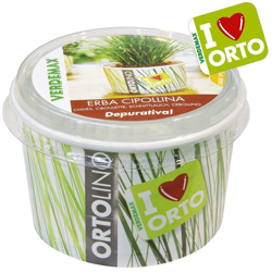 Ortolino Erba Cipollina en oferta