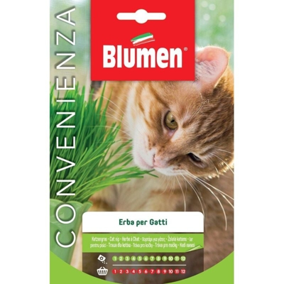 Blumen Erba Gatta