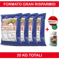 Ossicloruro di rame REALE 30% X 20 kg precio