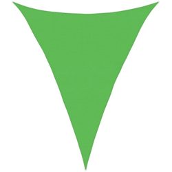 vidaXL Vela Parasole 160 g/m² Verde Chiaro 4x5x5 m in HDPE - Verde precio