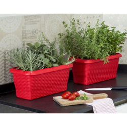 Fioriera Paglia Cm.60 Antracite | Pz en oferta