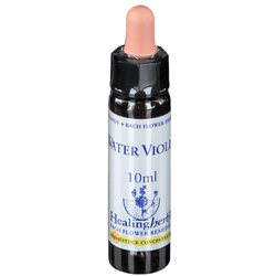 Healing Herbs Water Violet características