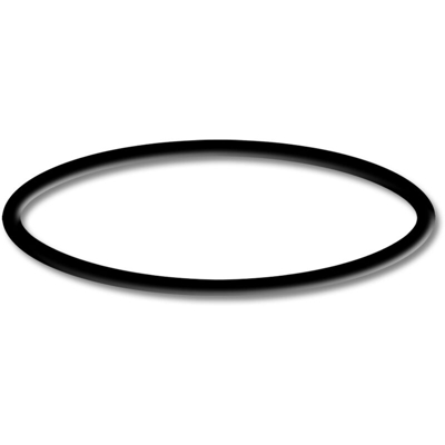 Ricambi pompa per piscina No. 50919/50920/50921 O-ring 6 - Wiltec