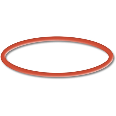 Pezzo di ricambio: O-Ring 2 per la pompa per piscina CPP-10000 - Sunsun