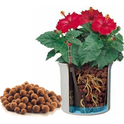 Argilla espansa in sacco per il rinvaso 7 litri per giardino giardinaggio precio