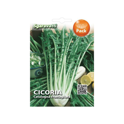 Busta Semi Orto Cicoria Frastagliata - Sgaravatti características