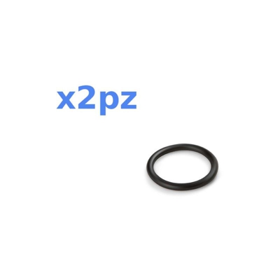 Intex - Guarnizione O-Ring ricambio per filtro cartuccia 2pz