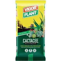 Terriccio Cactacee 5 litri Vigorplant precio