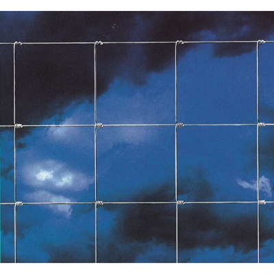 Rete per pecore 100x8x15 mt.50 a forte zincatura - Salone