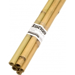 REGGIPIANTE IN BAMBÙ 180 cm características