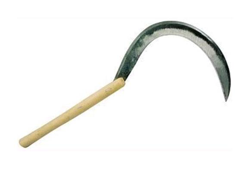 Falciola Matteo N. 3/4 características