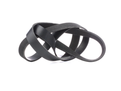 RIDEX Cinghia Poly-V 305P0344  RENAULT,HONDA,NISSAN,MASTER III Kasten (FV),MASTER III Pritsche/Fahrgestell (EV, HV, UV),CR-V III (RE) en oferta