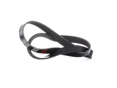 RIDEX Cinghia Poly-V 305P0320  VW,HONDA,FORD,GOLF III (1H1),Transporter IV Kastenwagen (70A, 70H, 7DA, 7DH),SHARAN (7M8, 7M9, 7M6),CORRADO (53I)