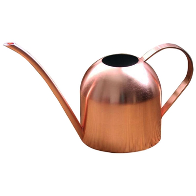 Rose Gold Piccolo Annaffiatoio bollitore ti aiuta a acqua molto piccolo Piante, Piante grasse, bonsai o erba Giardini - Steel Plant Waterer per