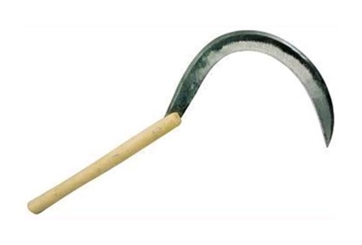 Falciola Matteo N. 2