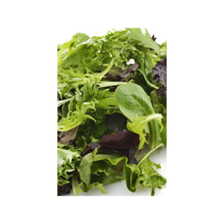 Busta Semi Orto Misticanza di Lattughe - Sgaravatti precio