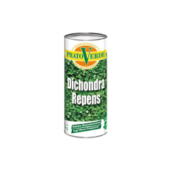 Dichondra Repens x 1 KG características