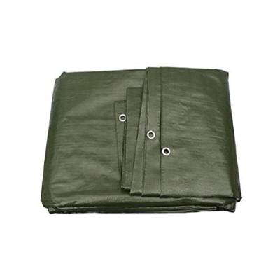 Telo occhiellato pesante 3x2mt 180g/mq