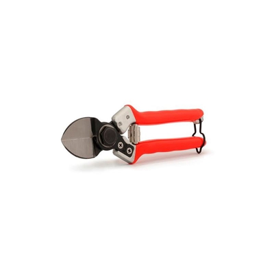 Forbici per potatura alberi da frutta, giardinaggio e vigneto Castellari Lady II 21cm (Made in Italy)