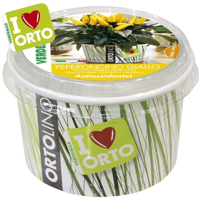 Ortolino Peperoncino Giallo