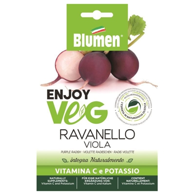 Blumen Ravanello Viola
