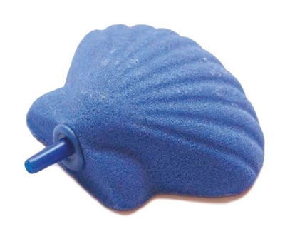 Velma Group - Pietra porosa conchiglia