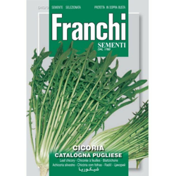 Semi ortofrutta 'Cicoria catalogna pugliese' 3 pz. precio
